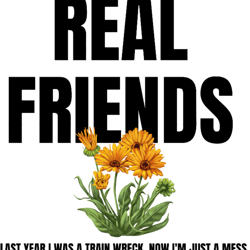 REAL FRIENDS BAND