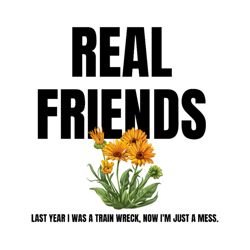 REAL FRIENDS BAND.png