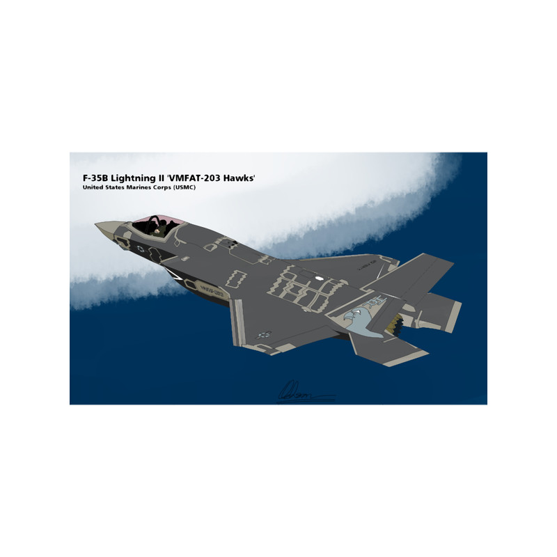 F-35B Lightning II VMFAT-203 _Hawks_ (Fictional).png