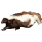 Skunk(1).png