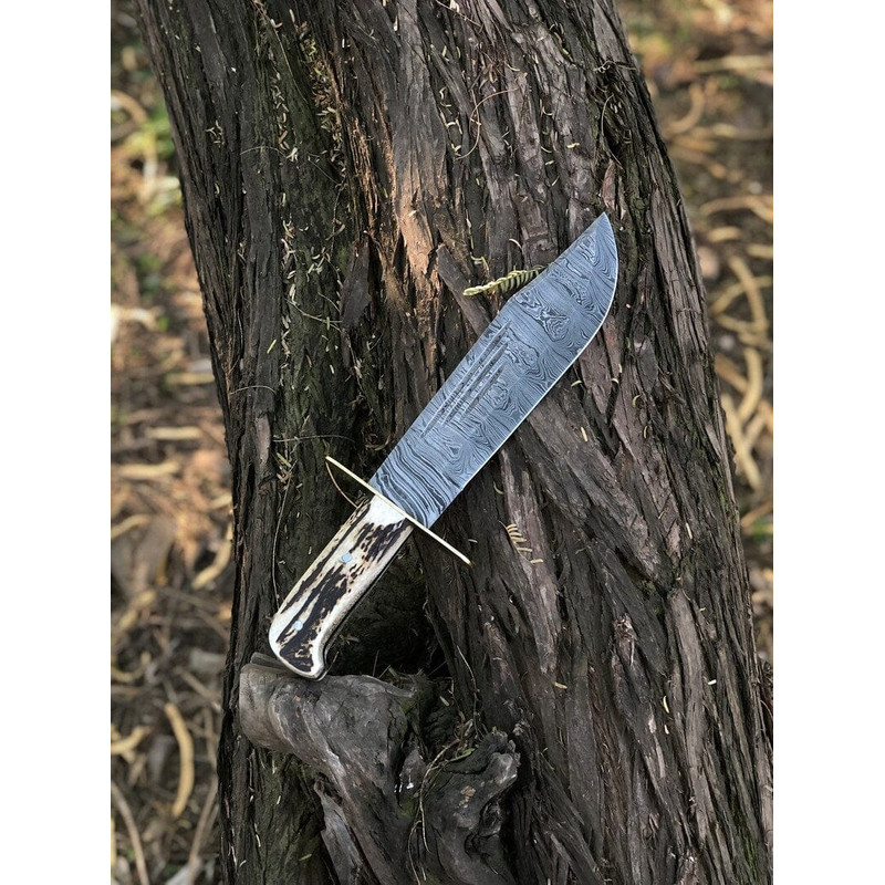 Custom Handmade 15Inch Damascus Steel Bowie Knife With Stag Handle And Brass Guard Evergreen Cutlery 1