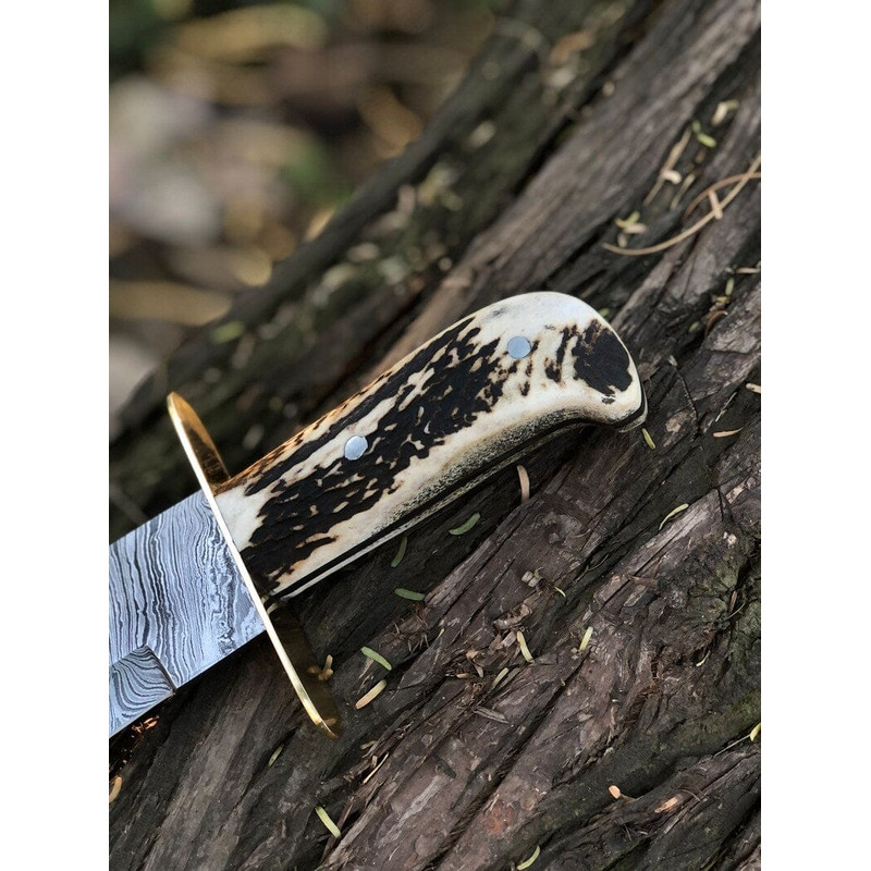 Custom Handmade 15Inch Damascus Steel Bowie Knife With Stag Handle And Brass Guard Evergreen Cutlery 2