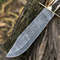 Custom Handmade 15Inch Damascus Steel Bowie Knife With Stag Handle And Brass Guard Evergreen Cutlery 3