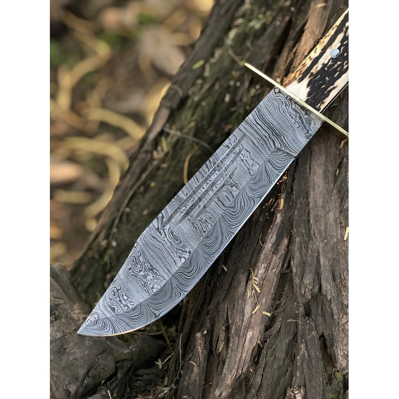 Custom Handmade 15Inch Damascus Steel Bowie Knife With Stag Handle And Brass Guard Evergreen Cutlery 3