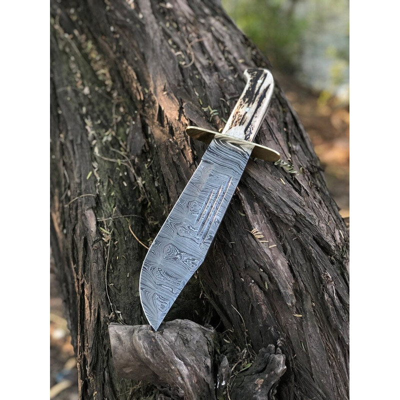 Custom Handmade 15Inch Damascus Steel Bowie Knife With Stag Handle And Brass Guard Evergreen Cutlery 4
