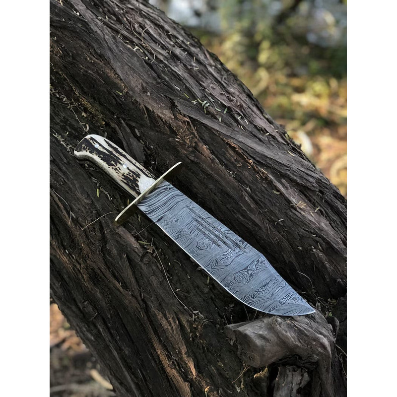 Custom Handmade 15Inch Damascus Steel Bowie Knife With Stag Handle And Brass Guard Evergreen Cutlery 5
