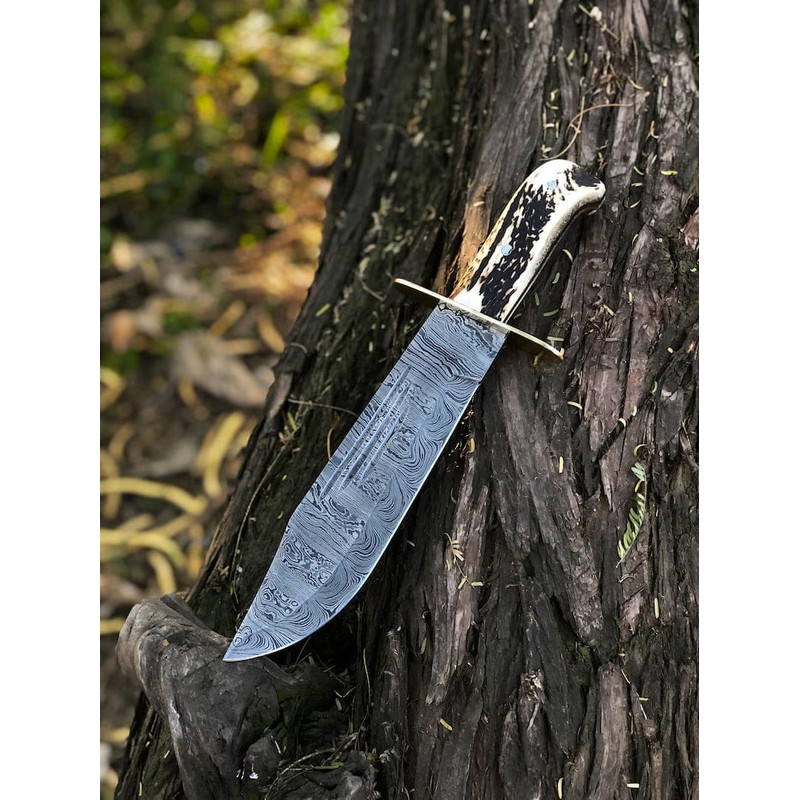 Custom Handmade 15Inch Damascus Steel Bowie Knife With Stag Handle And Brass Guard Evergreen Cutlery 0