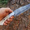 Custom Handmade Damascus Steel Hunting Knife EDC Fixed Blade Bowie Knife 1