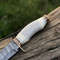 Handmade Damascus Steel Blade Bowie Knife Decorated Camel Bone Handle EC 2