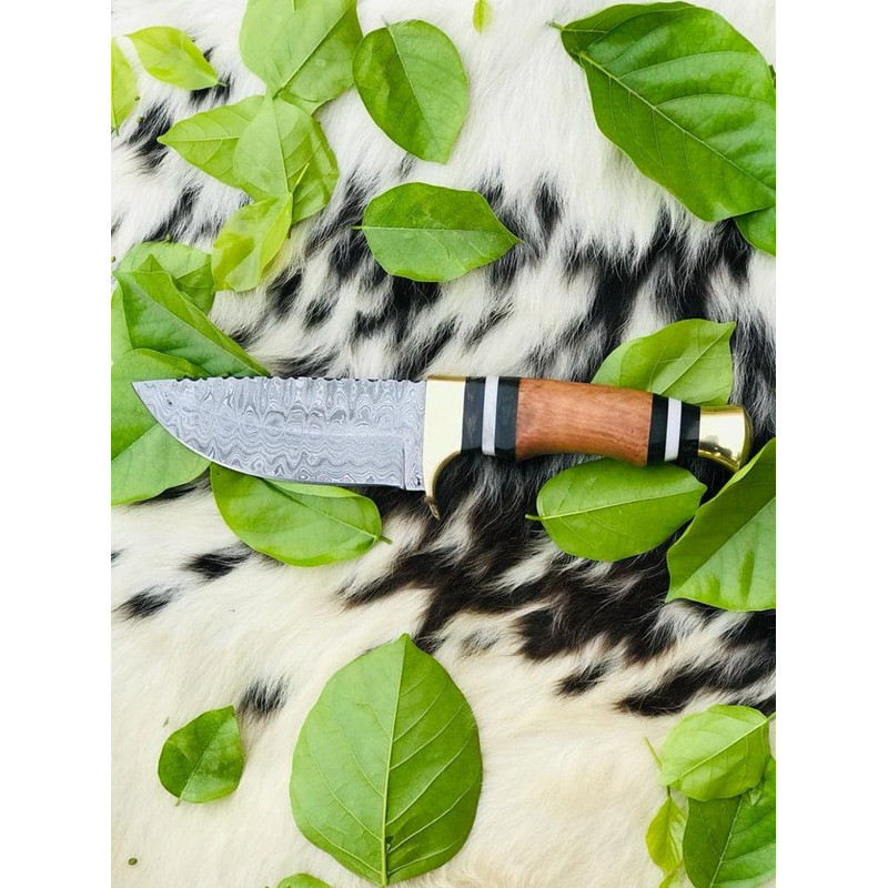 Damascus Skinner Knife Camping Knife Walnut Wood Gift For Him EC 1