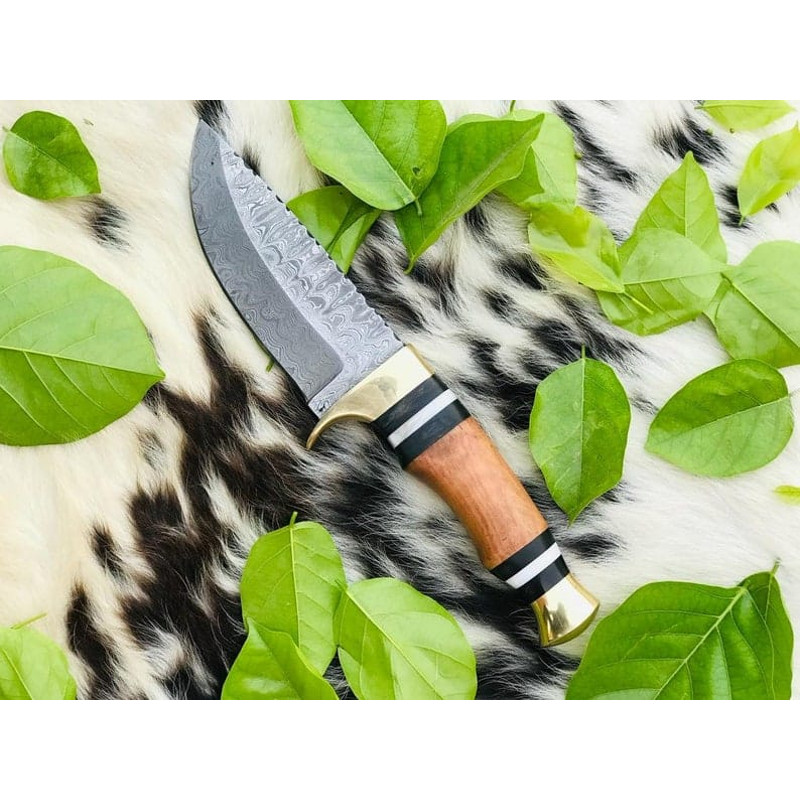 Damascus Skinner Knife Camping Knife Walnut Wood Gift For Him EC 2