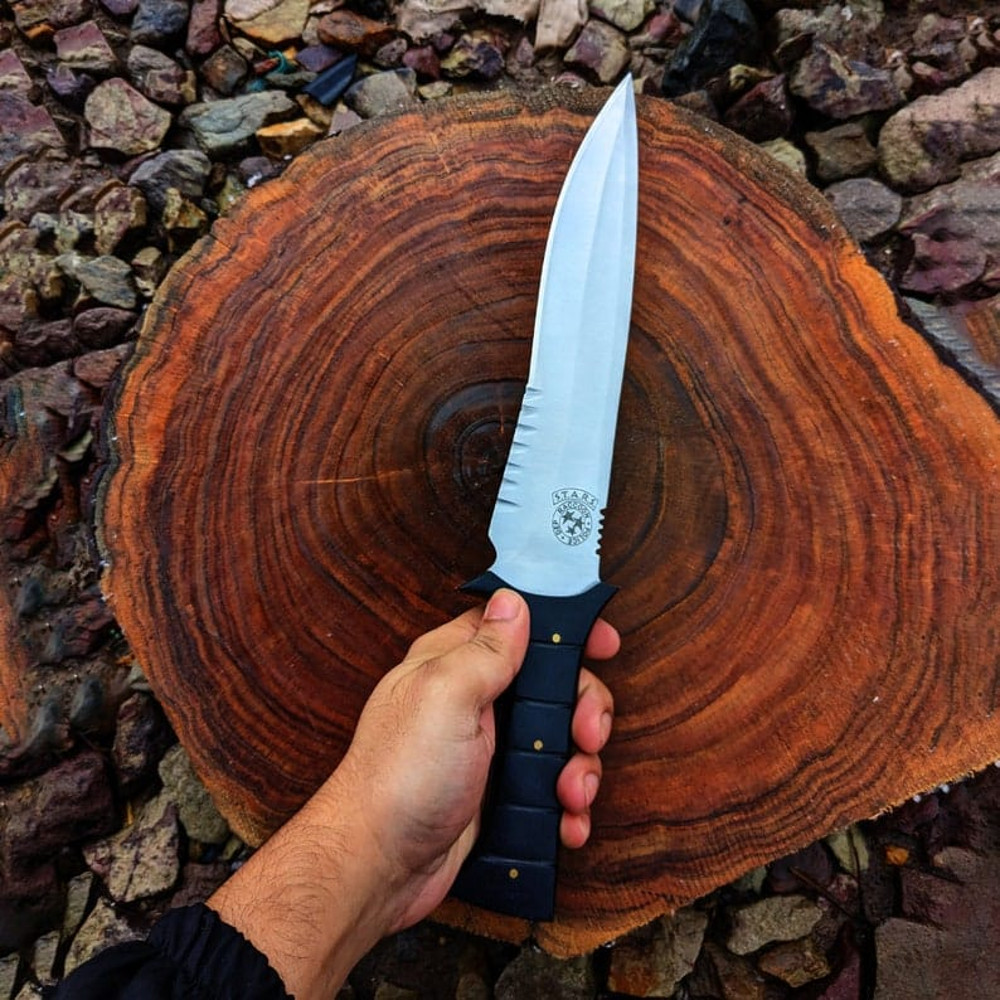 Custom Handmade D2 Steel Full Tang Free Sheath Christmas Gift EC 2