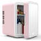 Portable Mini Mirror Fridge For Car Use Cooling  Heating Beauty Cosmetic Fridge With LED Lighting 1