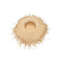 Vintage Straw Sunscreen Hat for Women Perfect Beach Sun Hat for Summer Fashion  Outdoor Activities