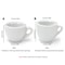 Elegant Porcelain Coffee Mugs Espresso Cappuccino Cup Set With Delicate Saucer 7
