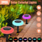 Outdoor Solar Pathway Lights 7 Color Changing Landscape Lamps For Garden Yard Christmas Decor 1