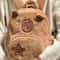 Capybara Plush Backpack Cute Animal Crossbody Bag For Women 1