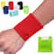 Lightweight Wrist Wallet Zipper Wristband for Running Hiking and Workouts