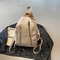 Anti Theft Sling Bag For Women Large Capacity Nylon Chest Crossbody 1