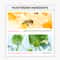 Revitalizing Exfoliating Hand Mask Moisturizing Callus Smoothing Anti Aging Hand Care Treatment 1