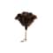 Premium Ostrich Feather Duster With Wooden Handle Anti Static Dust Remover 6