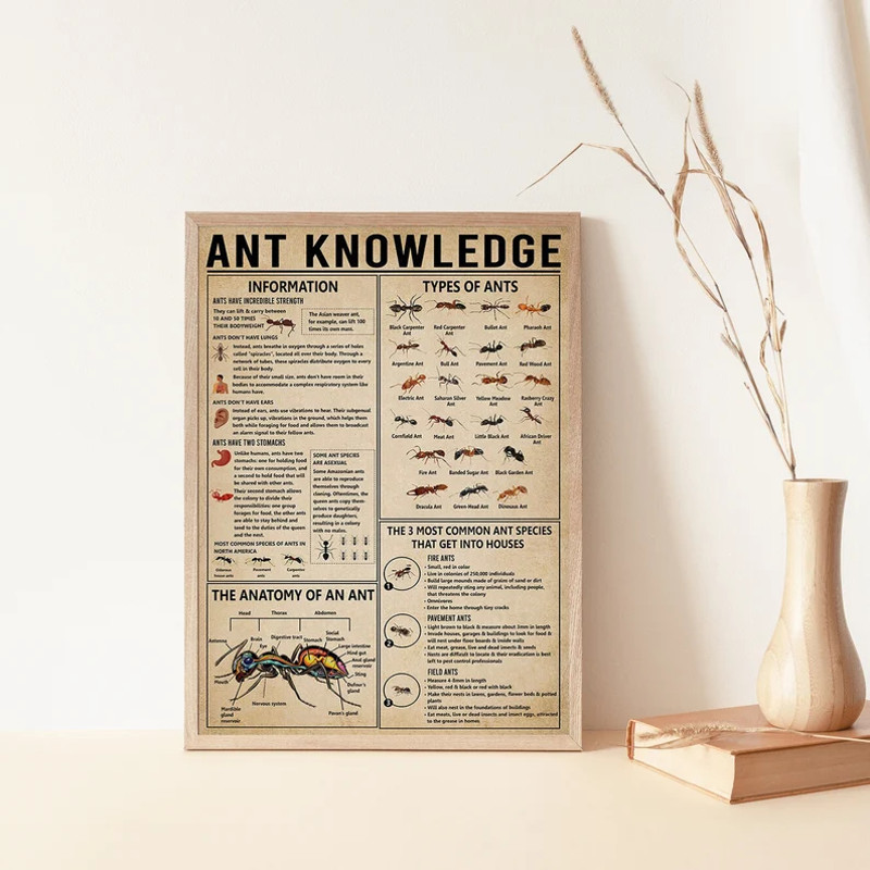 Ant Knowledge Poster, Ant Wall Art, Ant Art Prints, Art File, Digitall File, Png, Svg, Jpg.png