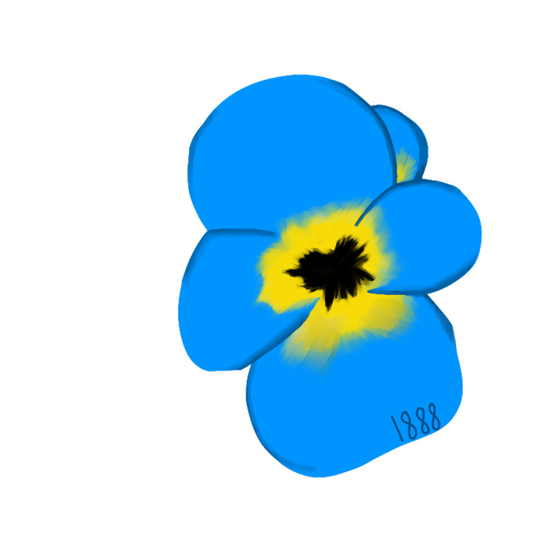 Delta pansy.png