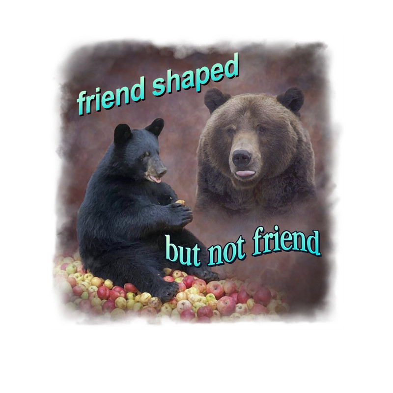 Bears friend shaped but not friend word art meme.png