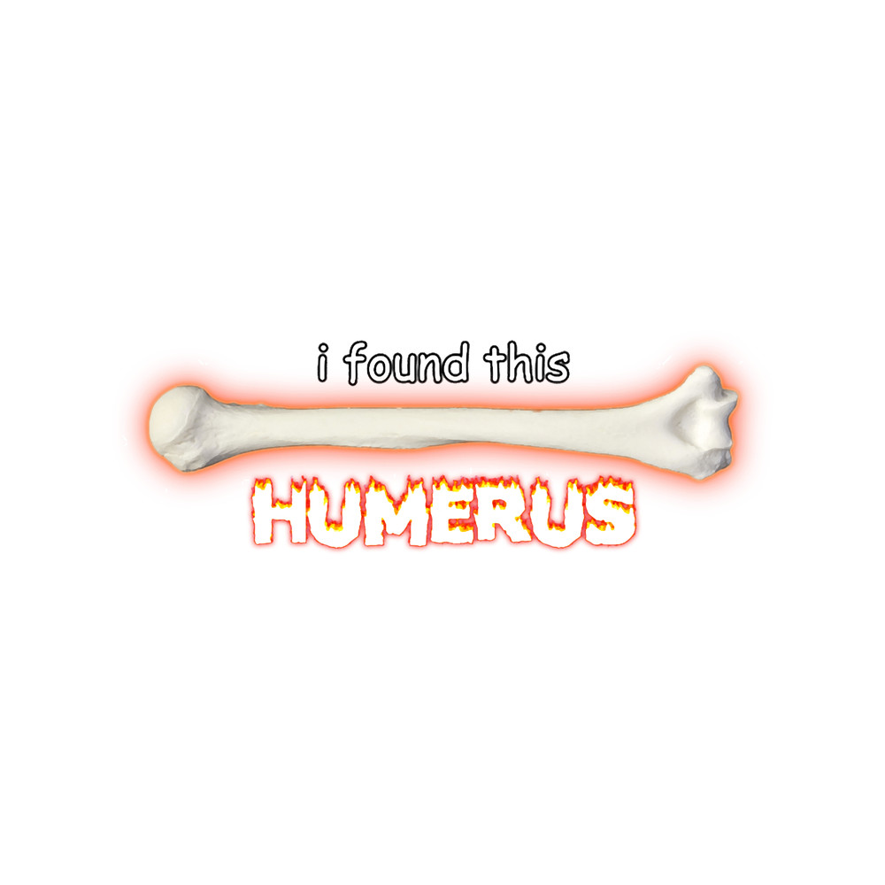 I Found This Humerus.png