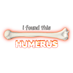 i found this humerus