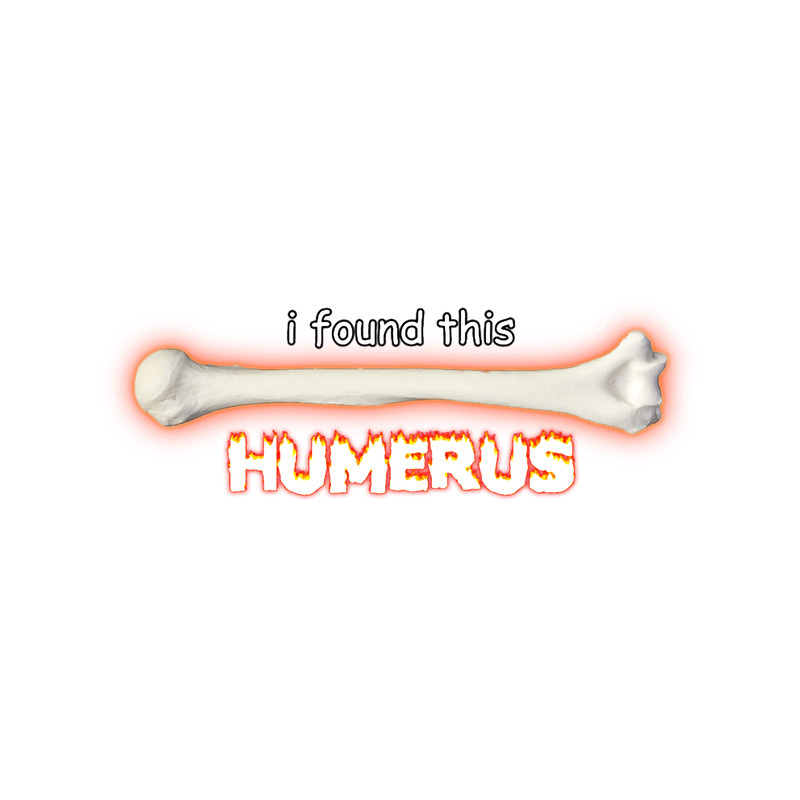 I Found This Humerus.png