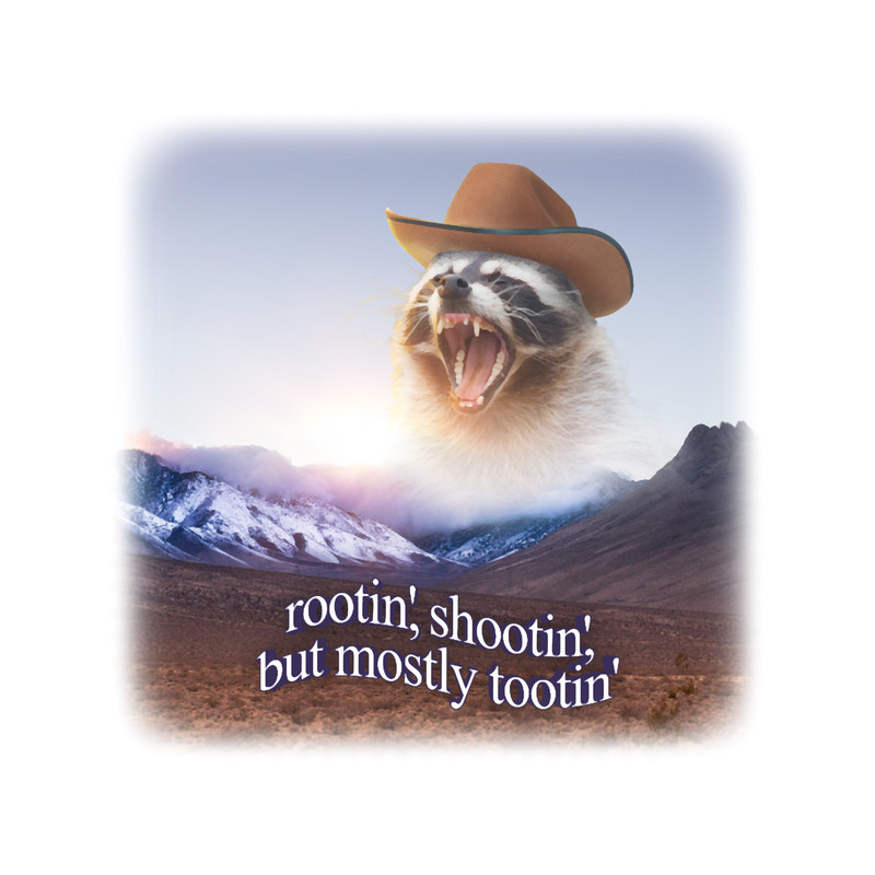 rootin shootin but mostly tootin cowboy raccoon word art.png