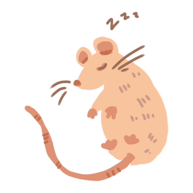 Sleepy Mouse.png
