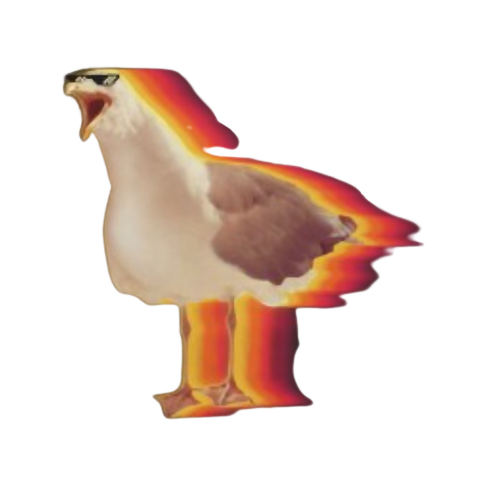 SNAZZY SEAGULL.png