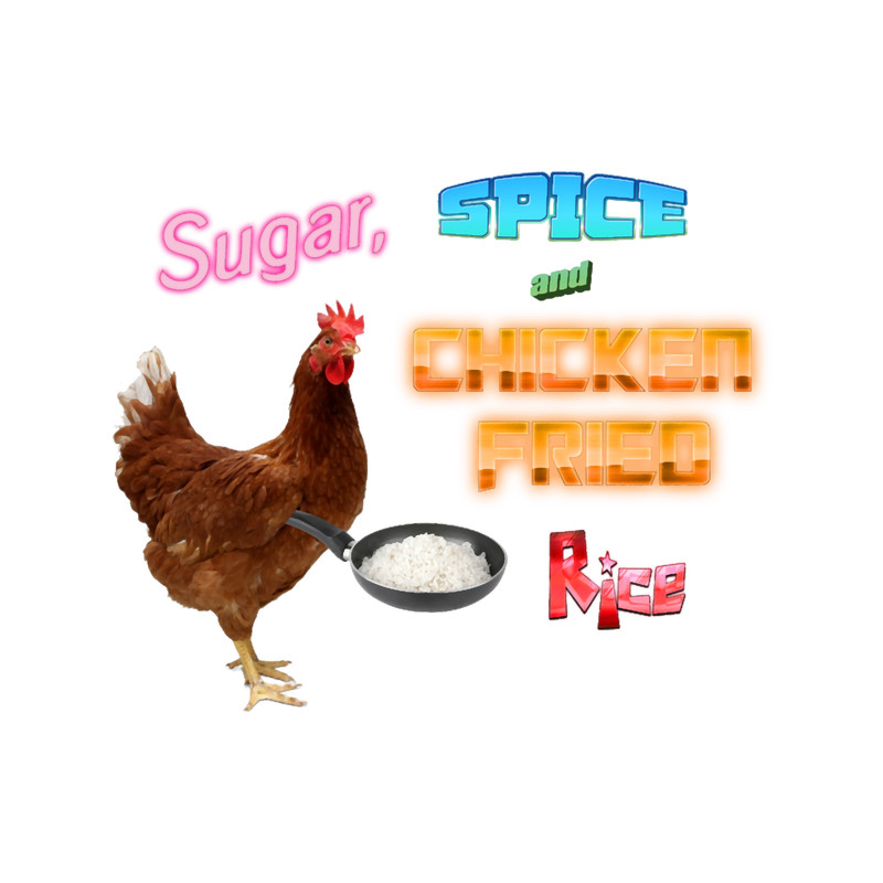 Sugar, Spice, and Chicken Fried Rice Meme.png