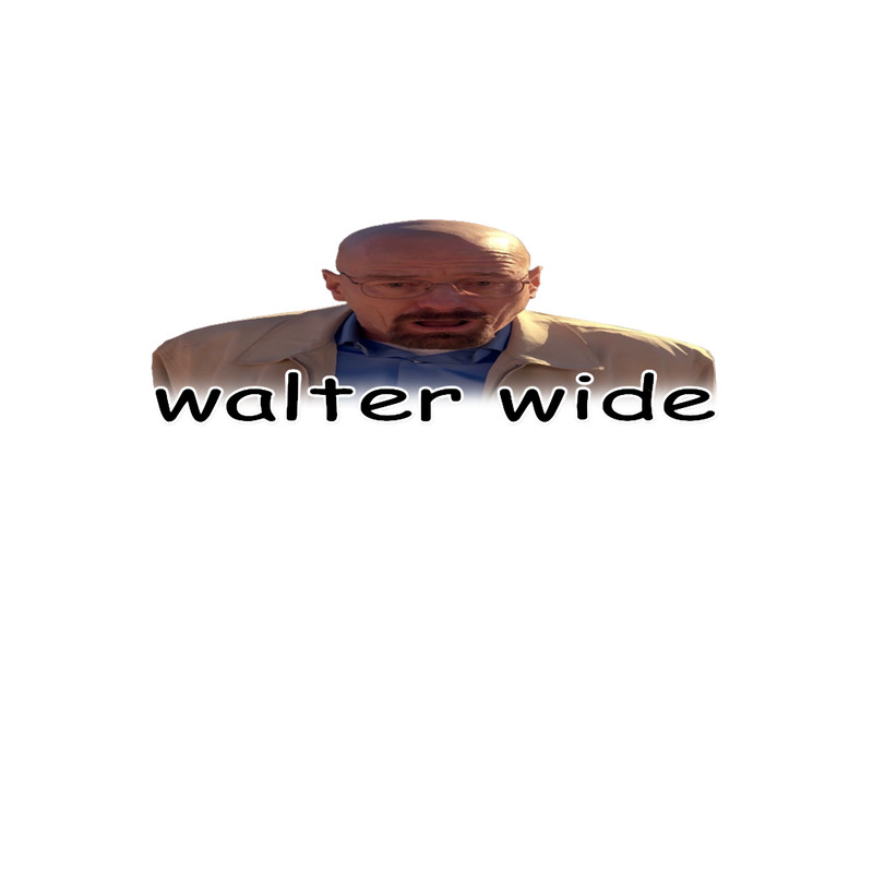 walter wide breaking bad walter white parody.png