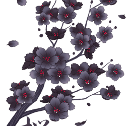 falling black sakura cherry blossom