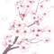Falling White Sakura Cherry Blossom.png