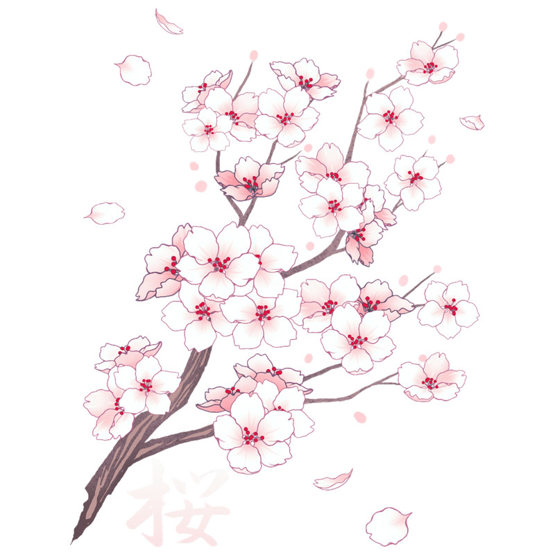 Falling White Sakura Cherry Blossom.png
