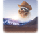 cowboy raccoon word art.png