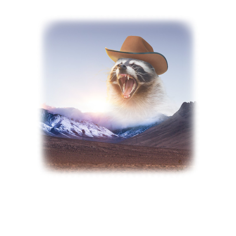cowboy raccoon word art.png