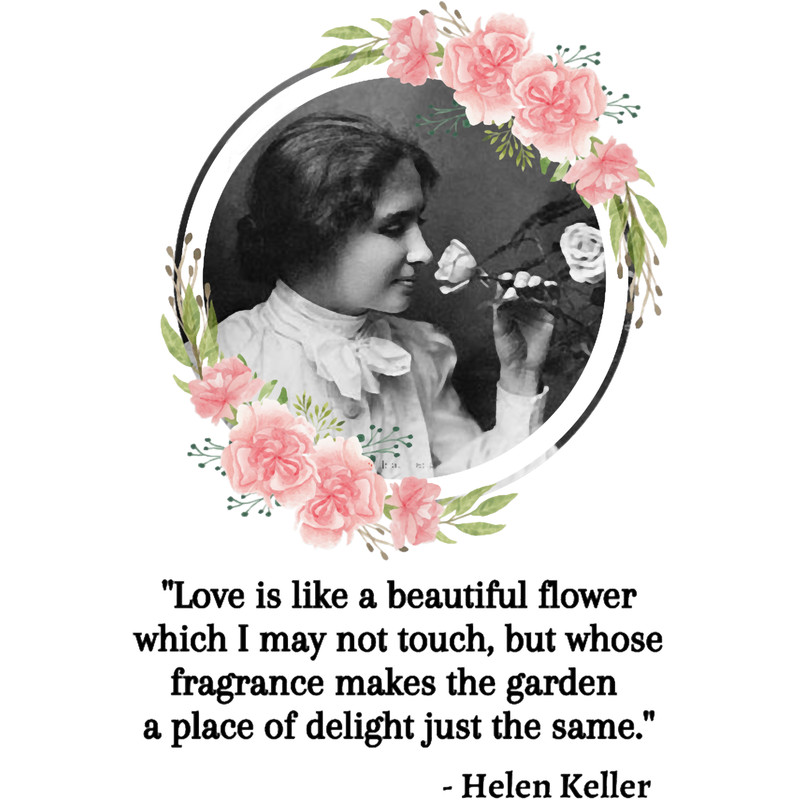 Love is like a beautiful flower, Young Helen Keller Quote, Willow Days.png