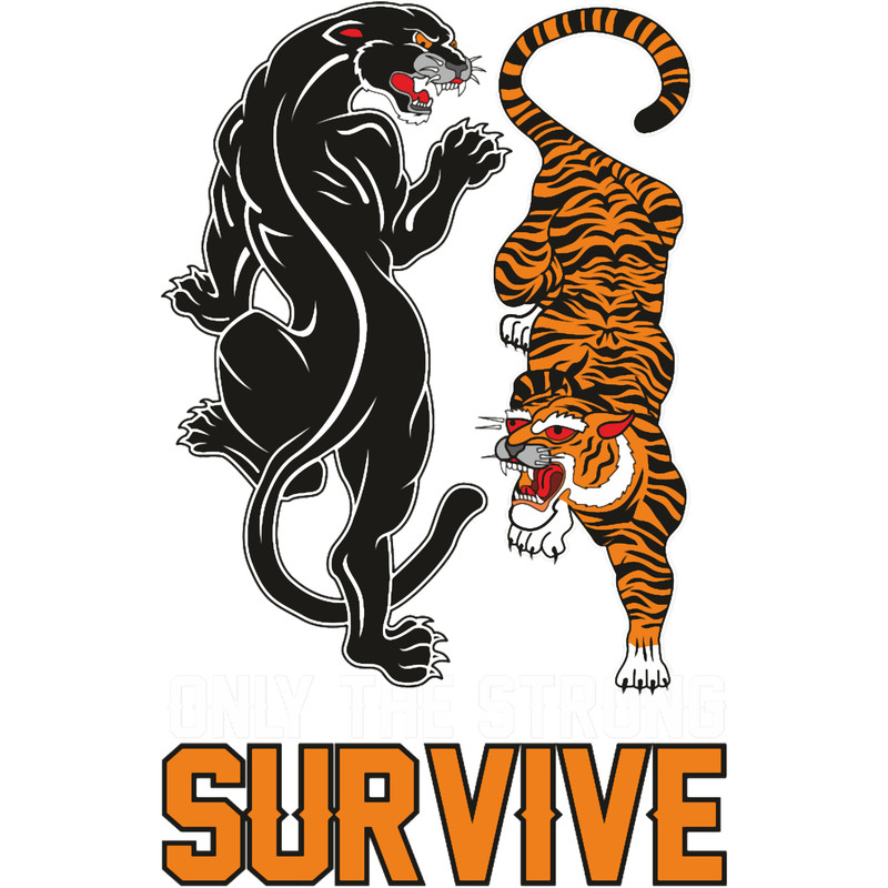 Panther vs Tiger.png