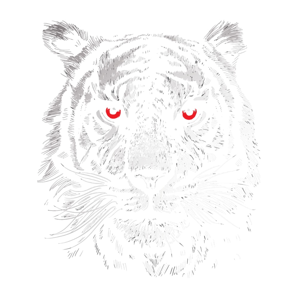 Tiger Face Wild Animal TigerFor Men Women And Kids .png