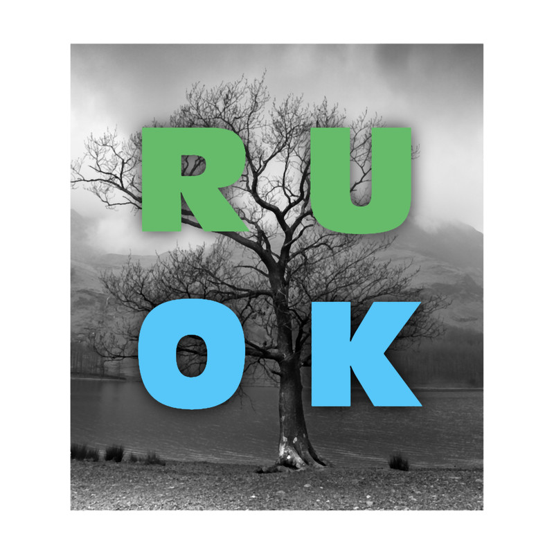 r u ok Classic(19).png