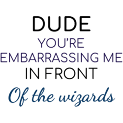 dude, youre embarrassing me in front of the wizards