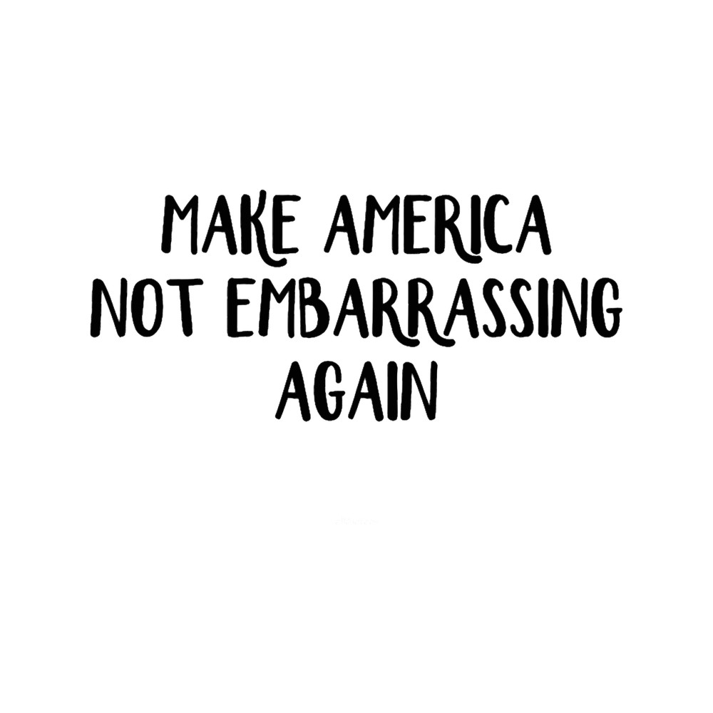 Make America Not Embarrassing Again(2).png