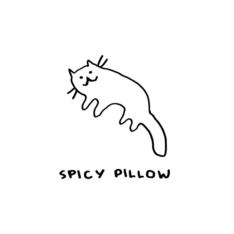 Spicy Pillow.png
