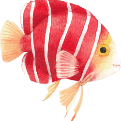 red fish