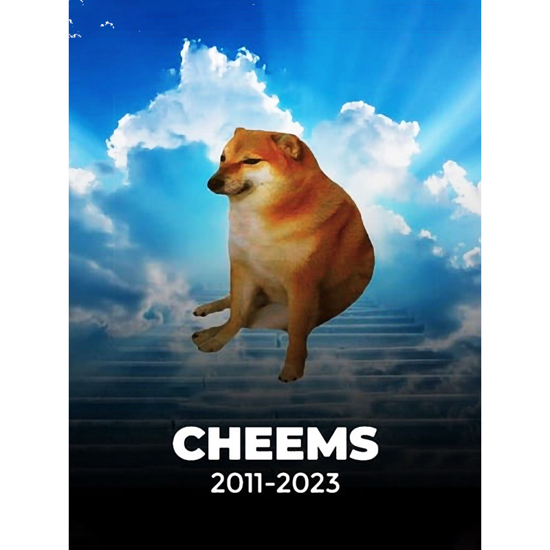 Cheems .png